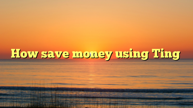 How save money using Ting
